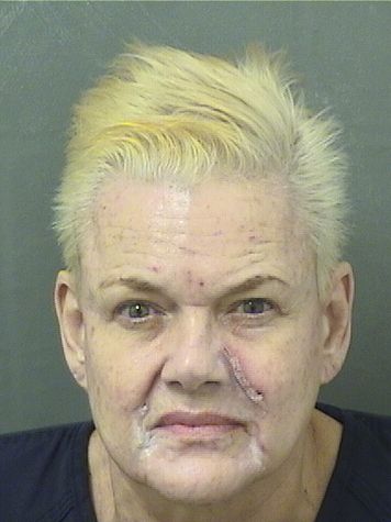  KIMBERLY ANN GOETZ Results from Palm Beach County Florida for  KIMBERLY ANN GOETZ