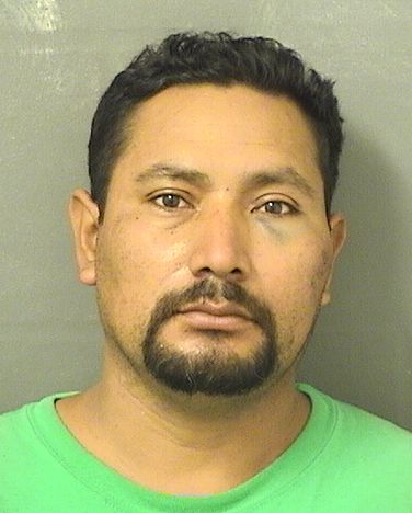  ALEJANDRO VICENTE PEREZ Results from Palm Beach County Florida for  ALEJANDRO VICENTE PEREZ