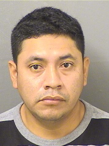  MARIO OTTONIEL RAMIREZPEREZ Resultados de la busqueda para Palm Beach County Florida para  MARIO OTTONIEL RAMIREZPEREZ