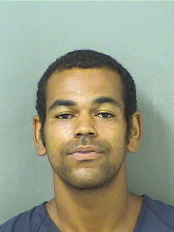  PHILLIP ANTHONY DAVIS Results from Palm Beach County Florida for  PHILLIP ANTHONY DAVIS