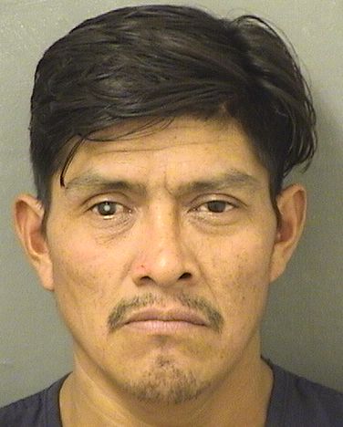  EDGAR PEREZPEREZ Resultados de la busqueda para Palm Beach County Florida para  EDGAR PEREZPEREZ