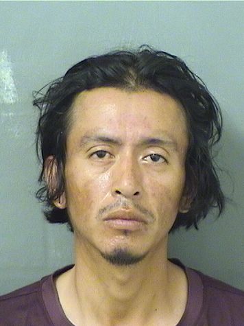  WOCESTER ANDULIO GALVEZROBLERO Results from Palm Beach County Florida for  WOCESTER ANDULIO GALVEZROBLERO