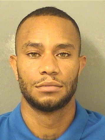  DAMION C STEPHSON Results from Palm Beach County Florida for  DAMION C STEPHSON