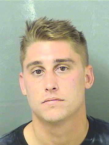  AUSTIN MICHAEL HAYES Results from Palm Beach County Florida for  AUSTIN MICHAEL HAYES