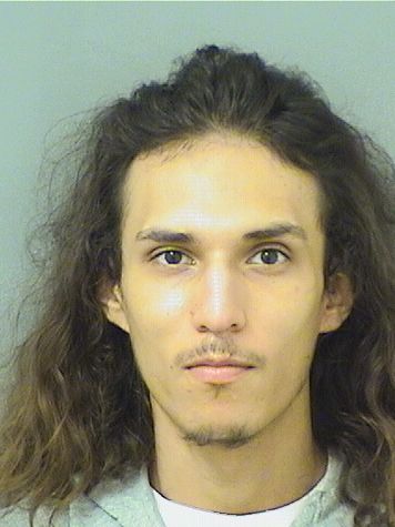  DANIEL FELIPE RUIZ Results from Palm Beach County Florida for  DANIEL FELIPE RUIZ