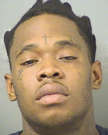  LEROY  III BROWN Results from Palm Beach County Florida for  LEROY  III BROWN