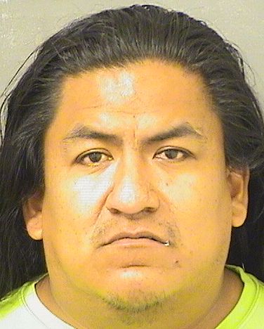  JESUS ALBERTO DEJESUS Results from Palm Beach County Florida for  JESUS ALBERTO DEJESUS