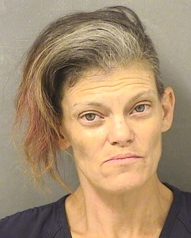 AUDRA J FOURMAN Results from Palm Beach County Florida for AUDRA J FOURMAN AUDRA J FOURMAN Results from Palm Beach County Florida for AUDRA J FOURMAN