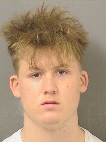  ANDREW RYAN TEIXEIRA Results from Palm Beach County Florida for  ANDREW RYAN TEIXEIRA