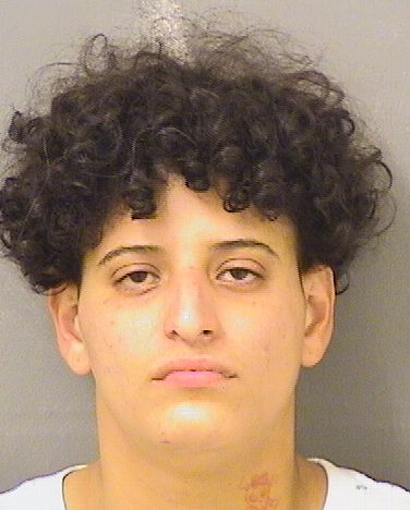  FABIOLA T DELGADO Results from Palm Beach County Florida for  FABIOLA T DELGADO