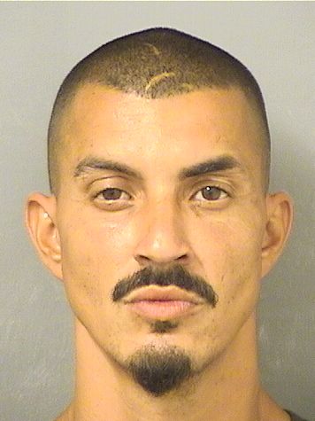  NICHOLAS LEVY AVARIANO Photo For  NICHOLAS LEVY AVARIANO