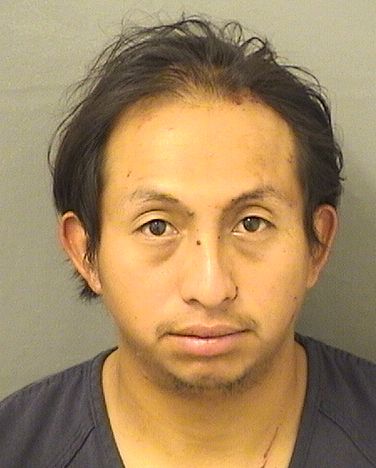  ROMULO J ESTEBANMATIAS Results from Palm Beach County Florida for  ROMULO J ESTEBANMATIAS