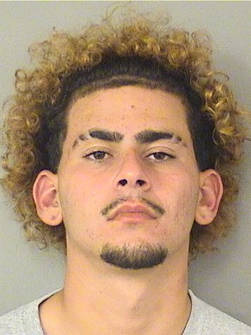  ROEL MATIAS Results from Palm Beach County Florida for  ROEL MATIAS