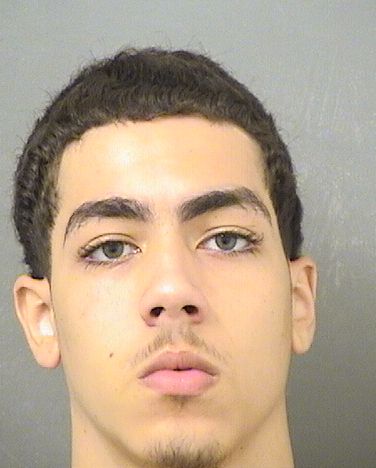  CONNOR JAMES WILLIAMS Results from Palm Beach County Florida for  CONNOR JAMES WILLIAMS