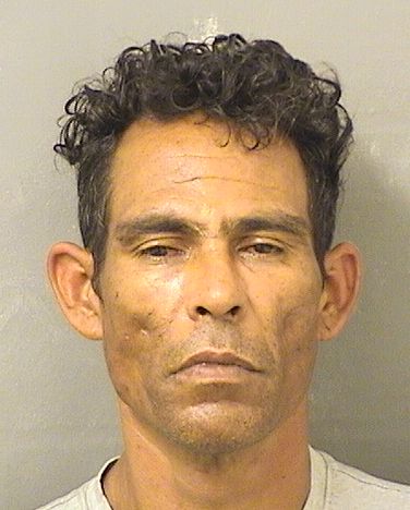  MARCOS ANTONIO IBANEZREYES Results from Palm Beach County Florida for  MARCOS ANTONIO IBANEZREYES