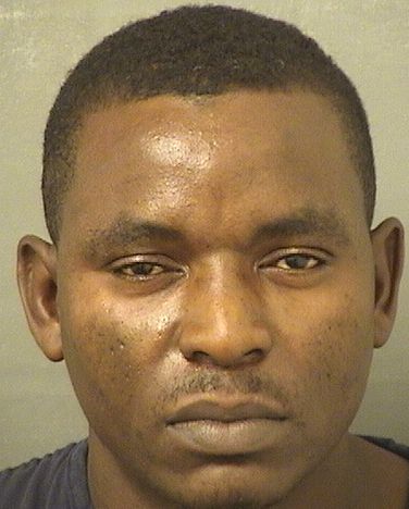  CHRISTOPHER MICHAEL NEWTON Results from Palm Beach County Florida for  CHRISTOPHER MICHAEL NEWTON