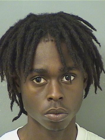  MERVENS ESTIMABLE Results from Palm Beach County Florida for  MERVENS ESTIMABLE