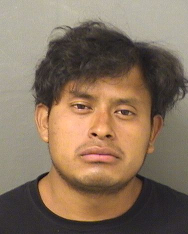  LUIS MARTINDELGADO Results from Palm Beach County Florida for  LUIS MARTINDELGADO