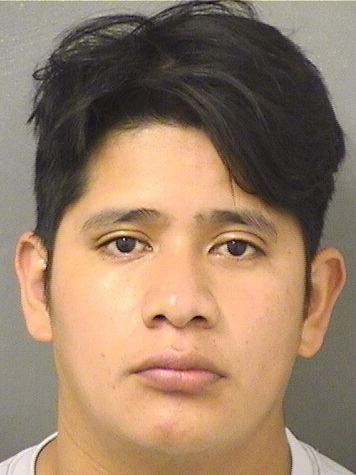  HUGO DANIEL LUCASVAIL Results from Palm Beach County Florida for  HUGO DANIEL LUCASVAIL