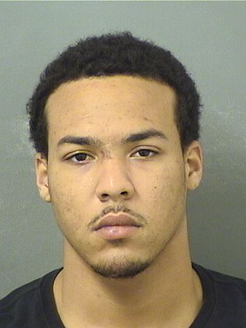  EDWARD JAMES JOHNSON Results from Palm Beach County Florida for  EDWARD JAMES JOHNSON