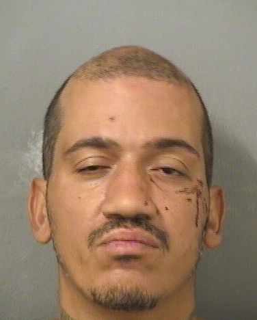 ARNALDO ANDRES MURIEL Results from Palm Beach County Florida for ARNALDO ANDRES MURIEL ARNALDO ANDRES MURIEL Results from Palm Beach County Florida for ARNALDO ANDRES MURIEL
