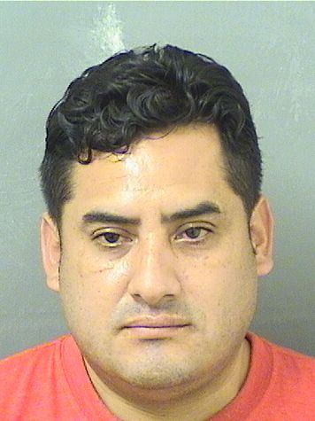  JUAN C TORRESDIAZ Results from Palm Beach County Florida for  JUAN C TORRESDIAZ