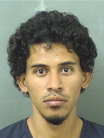  EMMANUEL J PARTILLO Results from Palm Beach County Florida for  EMMANUEL J PARTILLO