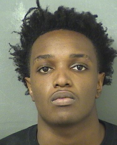  CHRISTOPHER MARIO MEDY Results from Palm Beach County Florida for  CHRISTOPHER MARIO MEDY