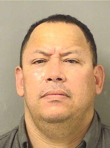  VLADIMIR FERRERAGUIRRE Results from Palm Beach County Florida for  VLADIMIR FERRERAGUIRRE