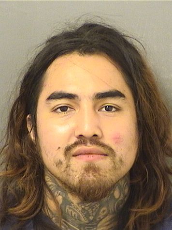  HERLAND GABRIEL SOTOOJOPI Results from Palm Beach County Florida for  HERLAND GABRIEL SOTOOJOPI