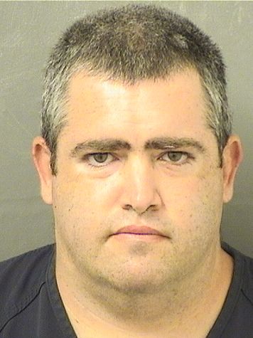  MICHAEL ROBERT HENN Results from Palm Beach County Florida for  MICHAEL ROBERT HENN