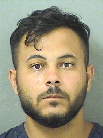  IONEL CATALAN Results from Palm Beach County Florida for  IONEL CATALAN