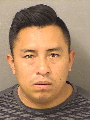  JOSE DOMINGO MENDOZASOLIS Results from Palm Beach County Florida for  JOSE DOMINGO MENDOZASOLIS