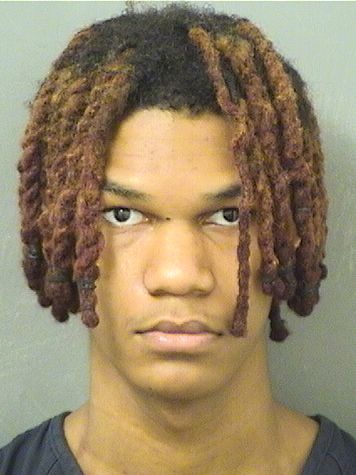  ANTHONY CEDRIC J HARRIS Results from Palm Beach County Florida for  ANTHONY CEDRIC J HARRIS