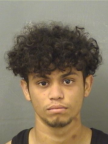  SELIN MALDONADOGALEAS Results from Palm Beach County Florida for  SELIN MALDONADOGALEAS