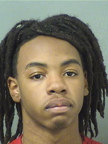  LARRY  III GREEN Results from Palm Beach County Florida for  LARRY  III GREEN