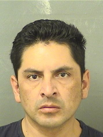  JORGE A MONTALVAN Results from Palm Beach County Florida for  JORGE A MONTALVAN