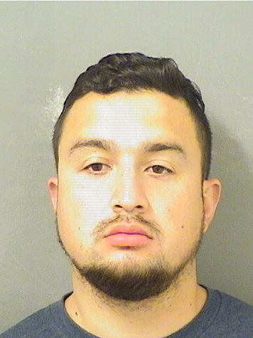  EDWIN FABIAN VELANDIAACHURI Results from Palm Beach County Florida for  EDWIN FABIAN VELANDIAACHURI