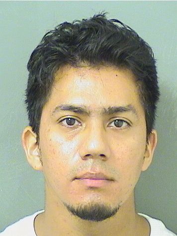  MARVIN ALEXANDER QUINTEROS Results from Palm Beach County Florida for  MARVIN ALEXANDER QUINTEROS