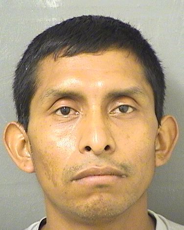  MARVIN WALDEMAR VASQUEZLOPEZ Results from Palm Beach County Florida for  MARVIN WALDEMAR VASQUEZLOPEZ