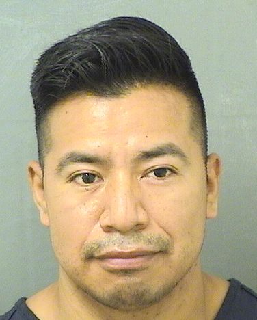  CRUZ FLORENCIO PUACVASQUEZ Results from Palm Beach County Florida for  CRUZ FLORENCIO PUACVASQUEZ
