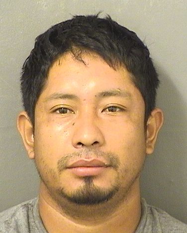  EMILIO GAMARIEL TORRESVICENTE Results from Palm Beach County Florida for  EMILIO GAMARIEL TORRESVICENTE