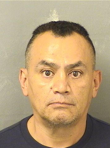  WILIAM A ROMERO Resultados de la busqueda para Palm Beach County Florida para  WILIAM A ROMERO