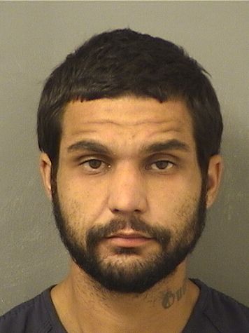  MYKAEL NICHOLAS SIMONOFF Results from Palm Beach County Florida for  MYKAEL NICHOLAS SIMONOFF