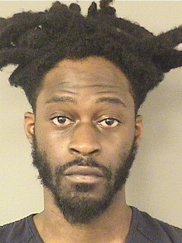  DAVID JASEN OPSAINT Results from Palm Beach County Florida for  DAVID JASEN OPSAINT