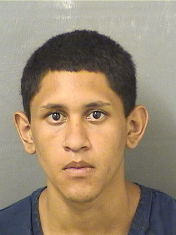  WALTER RAMIREZCABRERA Results from Palm Beach County Florida for  WALTER RAMIREZCABRERA