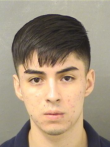  YEICKO ANDRES MATELUNACASTILLO Results from Palm Beach County Florida for  YEICKO ANDRES MATELUNACASTILLO