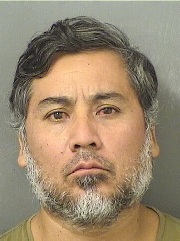  CESAR AGUSTO JARAHAMANN Results from Palm Beach County Florida for  CESAR AGUSTO JARAHAMANN