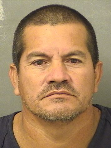  NELSON ENRIQUE RAMIREZFRANCO Results from Palm Beach County Florida for  NELSON ENRIQUE RAMIREZFRANCO