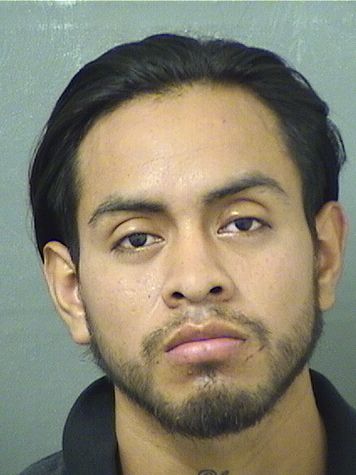  AXEL CASTANONLOPEZ Results from Palm Beach County Florida for  AXEL CASTANONLOPEZ